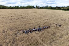 EDITORIAL USE ONLY Aerial views of The Oxford Artisan Distillery’s Lammas Day celebrations, marking the start of grain harvest. Picture date: Tuesday August 1, 2023. PA Photo. The Oxford Artisan Distillery is one of only a handful of ‘grain to glass’ distilleries in the UK. They use a low input production method with minimal tillage and no agri-chemicals.