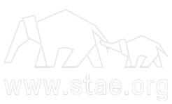 STAE Logo