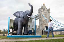 EDITORIAL USE ONLY General views of ‘The Elephant in the Room’, an installation by Co-op Funeralcare designed to encourage the nation to feel more comfortable talking about death, London. Picture date: Tuesday September 26, 2023. PA Photo. The installation follows research which reveals 58 percent of British people say talking about death, dying and bereavement is the ultimate ‘elephant in the room’.