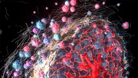 Illustrative example: cancer associated fibroblasts (CAFs) and the tumor microenvironment. (Photo: Business Wire)