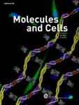 Elsevier partners with the Korean Society for Molecular and Cellular Biology to publish Molecules and Cells.