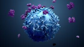 T cells helping immune system to fight cancer cells in response to immunotherapies (Photo: Business Wire)