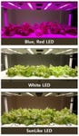 Seoul Semiconductor is conducting an experiment on plant growth and nutrients using different types of lighting at its experimental farm. (Photo: Seoul Semiconductor Co., Ltd.)