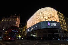 Piccadilly Lights