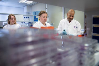 Prof. Dean Fennell, Director of the Mesothelioma Research Programme at Leicester University Hospitals in the lab with Dr. Joanna Dzialo and Dr. Aleksandra Bzura. The research and clinical teams are investigating RSO-021 anticancer activity in patients with malignant pleural mesothelioma and metastatic disease to the lung. (Photo: Dan Ryan)