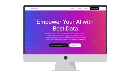 Dataocean AI's New Website (Graphic: Business Wire)