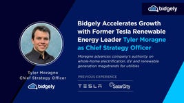 Moragne's strong leadership background brings new levels of strategic expertise as Bidgely supports its global roster of utility partners. (Graphic: Business Wire)