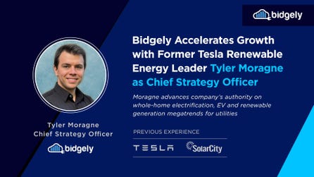 Moragne's strong leadership background brings new levels of strategic expertise as Bidgely supports its global roster of utility partners. (Graphic: Business Wire)