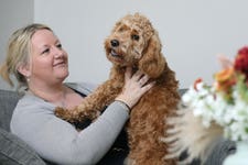 A beloved family dog has been given the ability to walk again after a leading team of vets gave him a pioneering new 3D-printed spine.