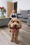 Arthur, a six month old Cockapoo, had been paralysed for two days after all of his limbs suddenly became weak, meaning he collapsed and could not walk