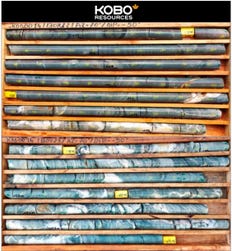 Photo 1: Mineralised Section from KDD0014 – 9.0 m at 4.27 g/t Au (Photo: Business Wire)