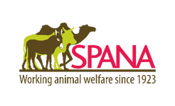 SPANA logo