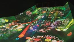 teamLab, Sliding through the Fruit Field, Courtesy teamLab Massless, Beijing (c) teamLab