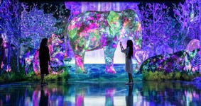 teamLab, Catching and Collecting Extinct Forest, Courtesy teamLab Forest, Fukuoka (c) teamLab