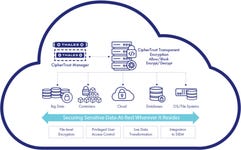 Business Wire embedded0