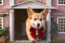 EDITORIAL USE ONLY Honey, a Corgi interacts with ÔRoverton HouseÕ, a Regency-inspired doghouse, unveiled by Rover in LondonÕs Victoria Park. Picture date: Monday November 25, 2024. PA Photo. The pet sitting company has created the doghouse to celebrate the nationÕs growing fondness for period-inspired dog names, including those from Bridgerton, such as Lord, Colin, Duchess, and Daphne.