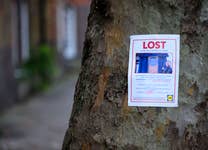 A poster appealing for the safe return of a blue plaque honouring Liam Gallagher, which has gone missing from the Lidl store in Newton Heath, Manchester, has been posted in London as Lidl takes the campaign to find the plaque nationwide. Issue date: Friday November 29, 2024. PA Photo. The blue plaque was originally installed in June following a comment made by the Mancunian singer on social media that he would 'Gig in Lidl' in response to the delayed opening of the Co-op Live venue and reads 'LIAM GALLAGHER, LEGEND 'ALMOST PLAYED HERE' JUNE 2024'. The retailer is offering a reward of £500 in Lidl Plus vouchers.