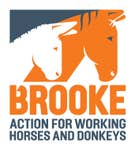 Brooke, Action for Working Horses and Donkeys