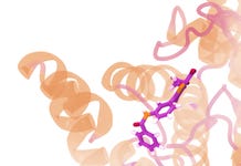 drug molecule bound to a protein (Graphic: Business Wire)