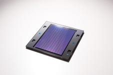 Business Wire embedded0