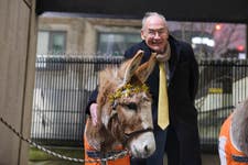 Alastair Stewart getting festive with a donkey at Brooke's carol service in the Guard's Chapel, Westminster