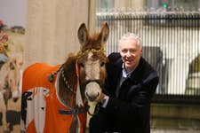 Rory Bremner with Brooke's donkey mascot