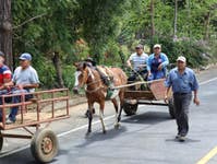 Working animals were used in a Nicaraguan disaster response simulation in 2023, thanks to Brooke and partners.