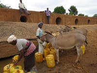 Donkeys can help collect and carry water during periods of drought in Kenya, keeping entire communities afloat.