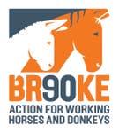 Brooke Action for Working Horses and Donkeys logo