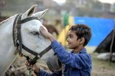 Brooke Action for Working Horses and Donkeys associated2