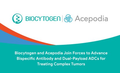 Biocytogen and Acepodia Join Forces to Advance Bispecific Antibody and Dual-Payload ADCs for Treating Complex Tumors. (Graphic: Business Wire)