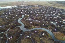 2 The Great North Bog coalition is working towards restoring 7000 km2 of peatland. Shown is work in the North Tynehead fell N. Pennines.