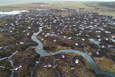 2 The Great North Bog coalition is working towards restoring 7000 km2 of peatland. Shown is work in the North Tynehead fell N. Pennines.