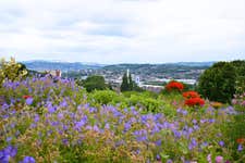 4 In Sheffield, The Green Estate Community Interest Company has transformed 2.4 acres (42 hectares) of land and heritage buildings in the Manor area.