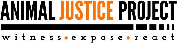 PR Newswire associated1