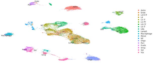 Preliminary data from Parse’s chromatin assay showing clustering of mouse brain nuclei based on DNA accessibility profiles. (Graphic: Business Wire)