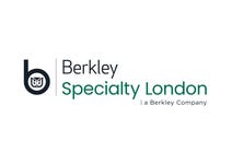 Business Wire logo