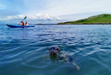 Kayaking in Ireland's Eye, County Dublin