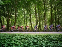 Copenhagen Sprint Mens Race in the forest in Egedal. Photo credit Esben Zøllner Olesen