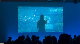 Business Wire embedded0