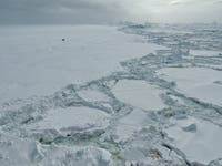 Broken sea ice in the Southern Ocean