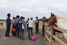 Brooke has developed a framework to help support handlers with the skills they need to work compassionately (credit: Redwings).