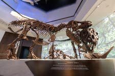 PR Newswire associated1