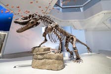 PR Newswire associated2