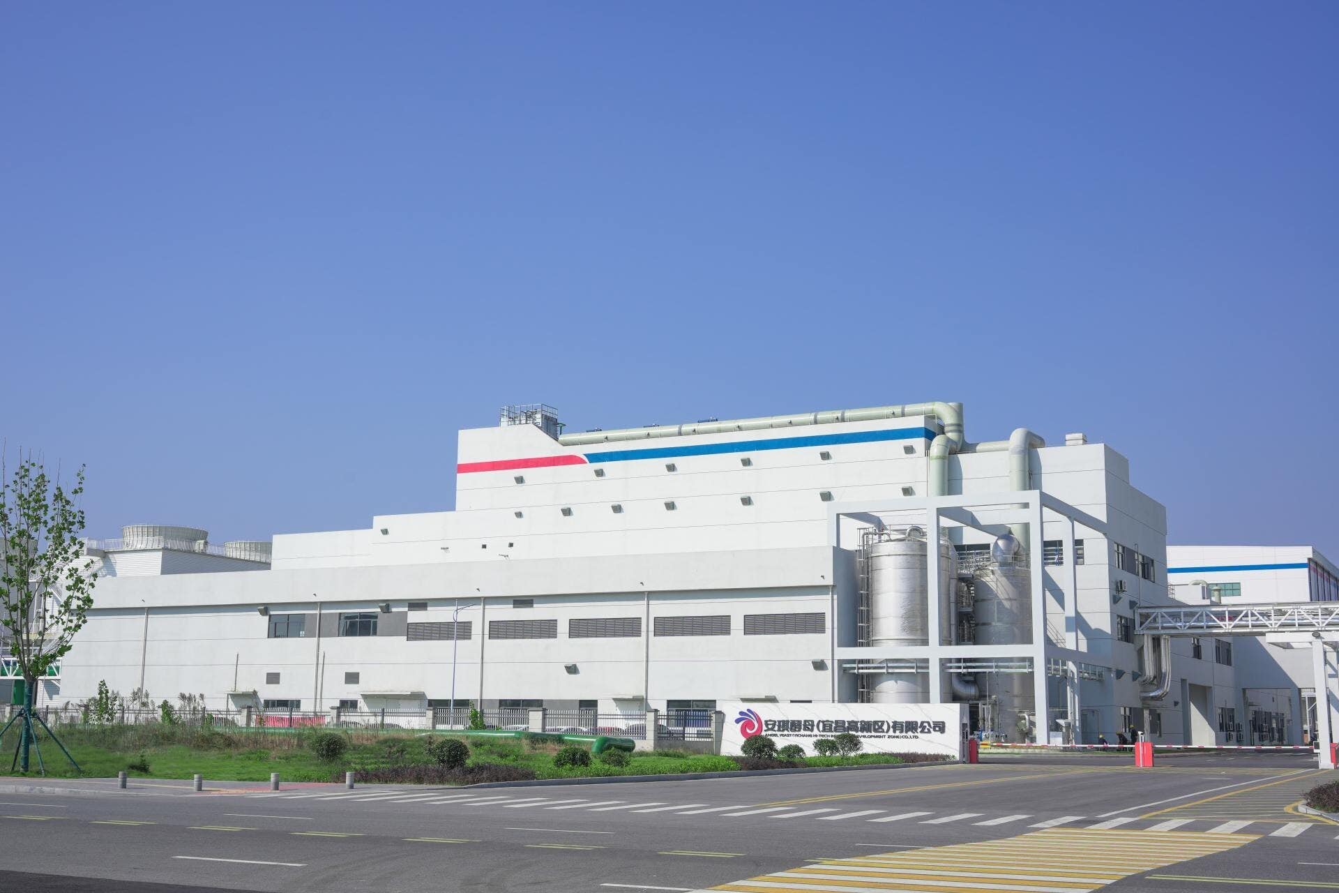 Angel Yeast Marks 40th Anniversary With Carbon Neutrality Roadmap