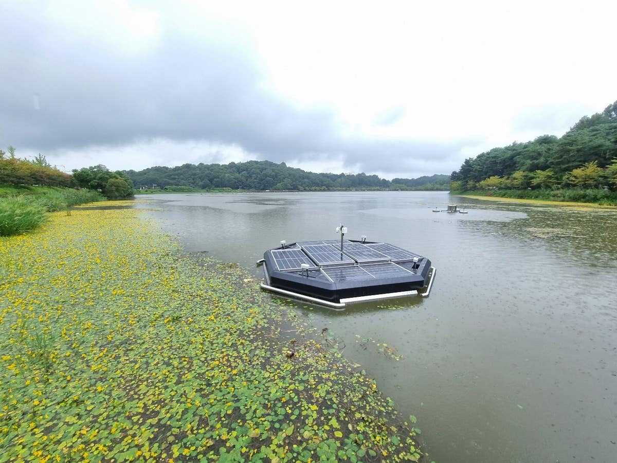 ECOPEACE Accelerates Global Deployment of AI-Driven Water-Cleanup ...