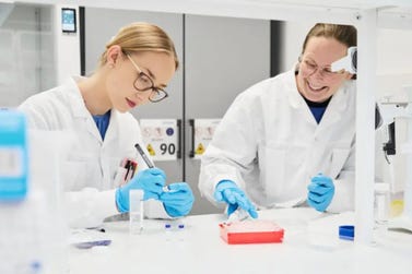 Supporting stable, high-titer cell line development and seamless GMP advancement.