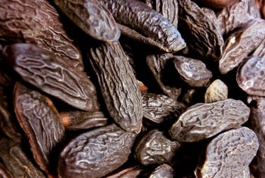 Tonka Bean CO₂ Absolute extracted by LMR.