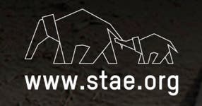 STAE
