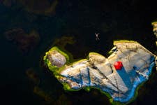 PR Newswire associated0